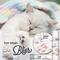 Show in main carousel: The Blissful Dog Cat Paw Cream, 2-fl oz tin slide 7 of 8