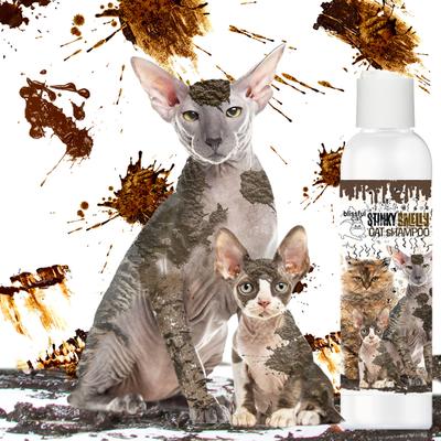 Show full view: The Blissful Dog Dirty Smelly Cat Shampoo, 4-fl oz bottle slide 9 of 9