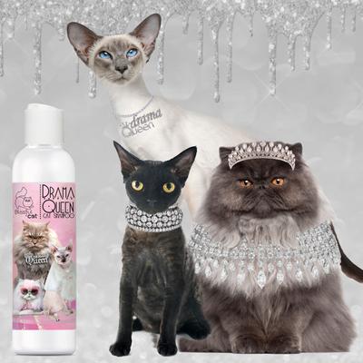 Show full view: The Blissful Dog Drama Queen Cat Shampoo, 4-fl oz bottle slide 3 of 9