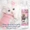 Show in main carousel: The Blissful Dog Drama Queen Cat Shampoo, 4-fl oz bottle slide 8 of 9