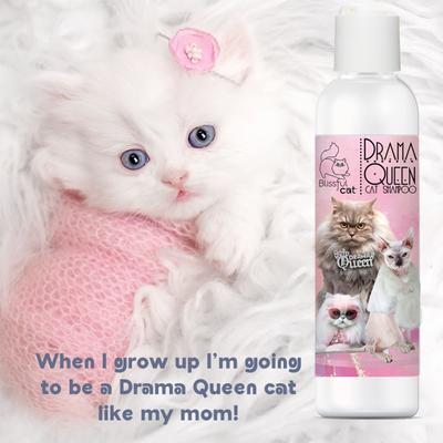 Show full view: The Blissful Dog Drama Queen Cat Shampoo, 4-fl oz bottle slide 8 of 9