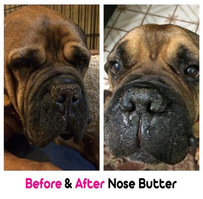 Show full view: The Blissful Dog Every Dog Nose Butter, 0.50-fl oz tube slide 4 of 6
