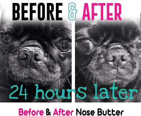 Show full view: The Blissful Dog Every Dog Nose Butter, 2.25-fl oz tube slide 5 of 7