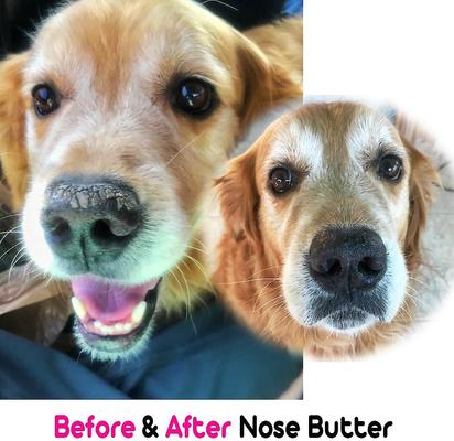 Show full view: The Blissful Dog Every Dog Nose Butter, 2.25-fl oz tube slide 6 of 7