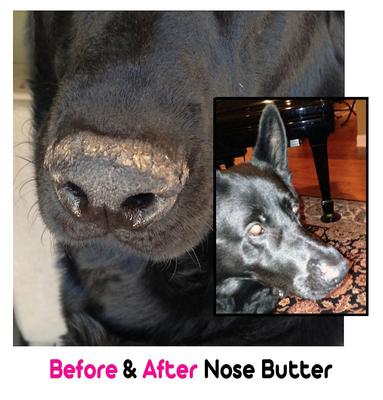 Show full view: The Blissful Dog Every Dog Nose Butter, 2-fl oz tin slide 4 of 6