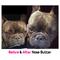 Show in main carousel: The Blissful Dog French Bulldog Nose Butter, 0.15-fl oz slide 3 of 5