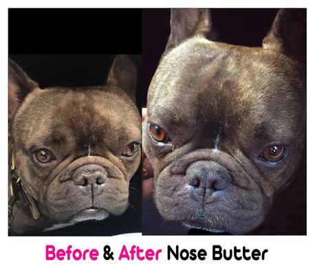 Show full view: The Blissful Dog French Bulldog Nose Butter, 0.15-fl oz slide 3 of 5