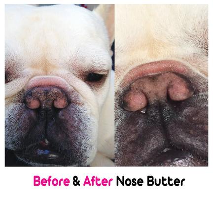 Show full view: The Blissful Dog French Bulldog Nose Butter, 0.15-fl oz slide 4 of 5