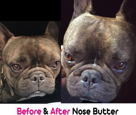 THE BLISSFUL DOG French Bulldog Nose Butter, oz