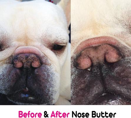 Show full view: The Blissful Dog French Bulldog Nose Butter, 0.5-fl oz slide 5 of 6