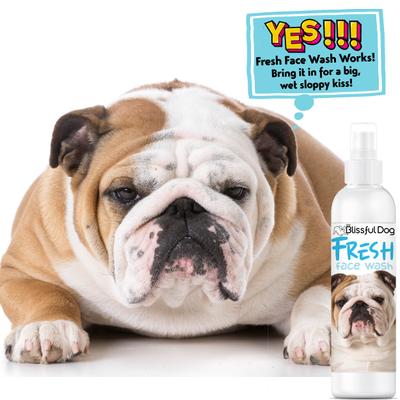 Show full view: The Blissful Dog Fresh Flat Face Wash for Dogs, 8-fl oz bottle slide 2 of 6