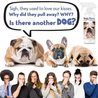 Show full view: The Blissful Dog Fresh Flat Face Wash for Dogs, 8-fl oz bottle slide 3 of 6