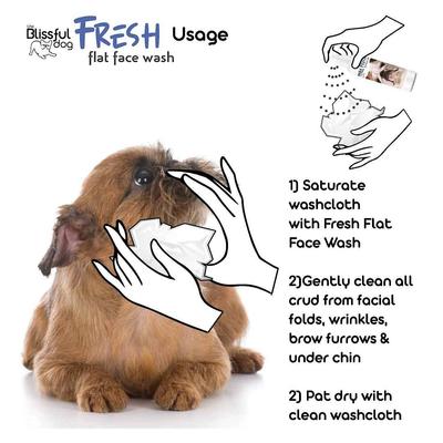 Show full view: The Blissful Dog Fresh Flat Face Wash for Dogs, 8-fl oz bottle slide 4 of 6