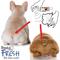 Show in main carousel: The Blissful Dog Fresh Flat Face Wash for Dogs, 8-fl oz bottle slide 6 of 6