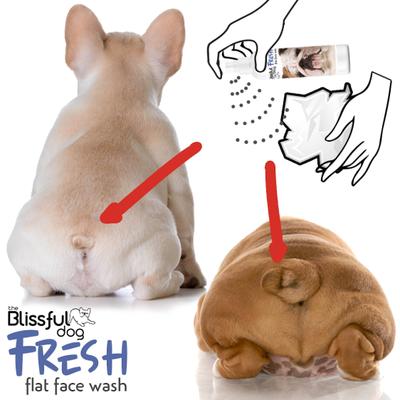 Show full view: The Blissful Dog Fresh Flat Face Wash for Dogs, 8-fl oz bottle slide 6 of 6
