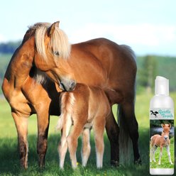 The Blissful Dog Gentle Touch Horse Shampoo, 16-fl oz bottle slide 2 of 6