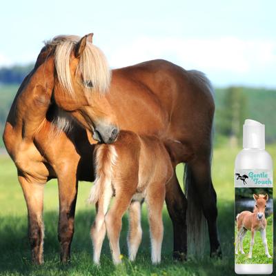 Show full view: The Blissful Dog Gentle Touch Horse Shampoo, 16-fl oz bottle slide 2 of 6