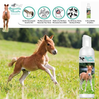 Show full view: The Blissful Dog Gentle Touch Horse Shampoo, 16-fl oz bottle slide 6 of 6