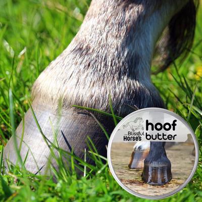 Show full view: The Blissful Dog Hoof Butter Horse Hoof Balm, 4-oz tin slide 2 of 8