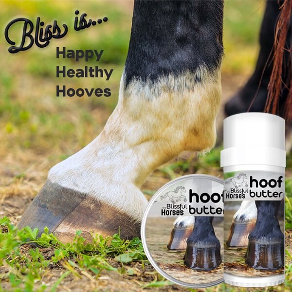 The Blissful Dog Hoof Butter Horse Hoof Balm