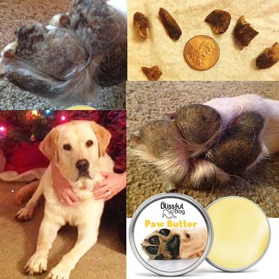 Show full view: The Blissful Dog Paw Butter, 2-fl oz slide 5 of 7
