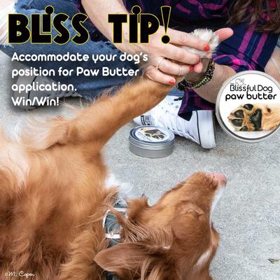 Show full view: The Blissful Dog Paw Butter, 2-fl oz slide 6 of 7