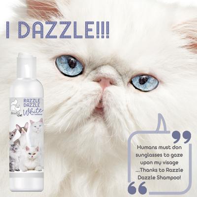 Show full view: The Blissful Dog Razzle Dazzle White Cat Shampoo, 4-fl oz bottle slide 5 of 8