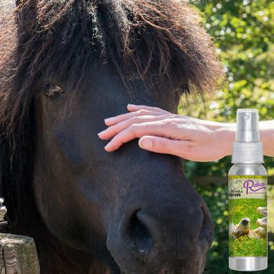 Show full view: The Blissful Dog Relax Aromatherapy Horse Spray, 2.67-fl oz bottle slide 2 of 8