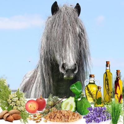 Show full view: The Blissful Dog Relax Aromatherapy Horse Spray, 2.67-fl oz bottle slide 7 of 8