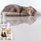 Show in main carousel: The Blissful Dog Relax Aromatherapy Roll-On Cat Spray, 0.45-fl oz bottle slide 6 of 8