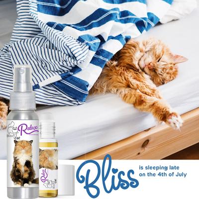Show full view: The Blissful Dog Relax Aromatherapy Roll-On Cat Spray, 0.45-fl oz bottle slide 7 of 8