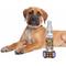 Show in main carousel: The Blissful Dog Relax Dog Aromatherapy Spray, 2.76-fl oz slide 2 of 5