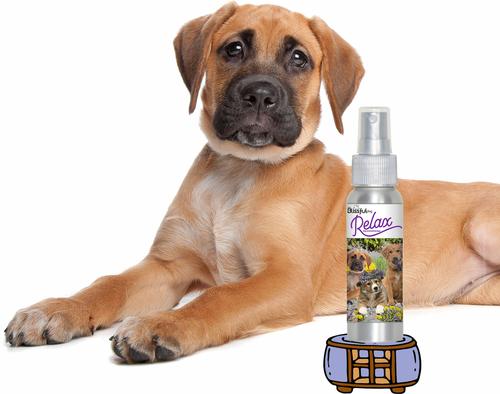 Show full view: The Blissful Dog Relax Dog Aromatherapy Spray, 2.76-fl oz slide 2 of 5