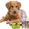 Show in main carousel: The Blissful Dog Relax Dog Aromatherapy Spray, 2.76-fl oz slide 5 of 5