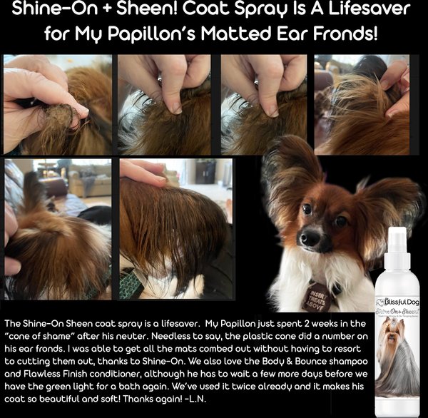 Show full view: The Blissful Dog Shine-On+Sheen Dog De-Tangling Coat Spray, 16-fl oz bottle slide 3 of 4