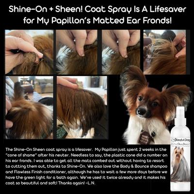 Show full view: The Blissful Dog Shine-On+Sheen Dog De-Tangling Coat Spray, 4-fl oz bottle slide 3 of 5