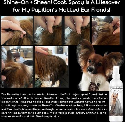 Show full view: The Blissful Dog Shine-On+Sheen Dog De-Tangling Coat Spray, 8-fl oz bottle slide 3 of 5