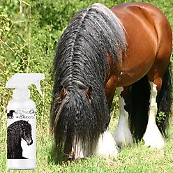 The Blissful Dog Shine-On+Sheen Horse Coat Spray, 16-fl oz bottle slide 2 of 7