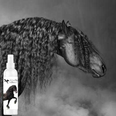 Show full view: The Blissful Dog Shine-On+Sheen Horse Coat Spray, 8-fl oz bottle slide 3 of 8