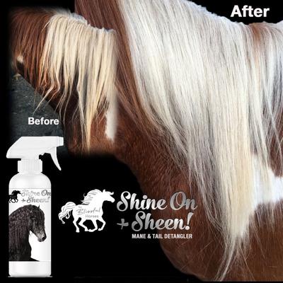Show full view: The Blissful Dog Shine-On+Sheen Horse Coat Spray, 8-fl oz bottle slide 5 of 8