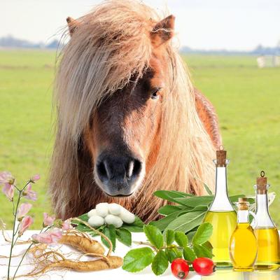 Show full view: The Blissful Dog Shine-On+Sheen Horse Coat Spray, 8-fl oz bottle slide 6 of 8