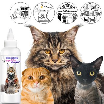 Show full view: The Blissful Dog Simply Clean Cat Ear Cleaner, 4-fl oz bottle slide 5 of 8