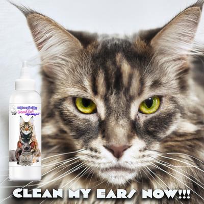Show full view: The Blissful Dog Simply Clean Cat Ear Cleaner, 4-fl oz bottle slide 6 of 8