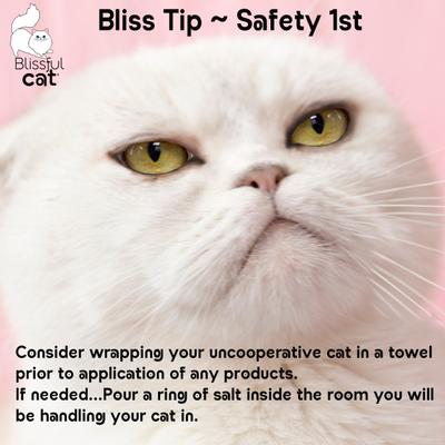 Show full view: The Blissful Dog Simply Clean Cat Ear Cleaner, 4-fl oz bottle slide 8 of 8