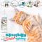 Show in main carousel: The Blissful Dog Simply Everything Fresh Deodorizing Refresher Cat Spray, 4-fl oz bottle slide 5 of 5
