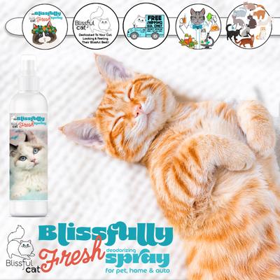 Show full view: The Blissful Dog Simply Everything Fresh Deodorizing Refresher Cat Spray, 4-fl oz bottle slide 5 of 5