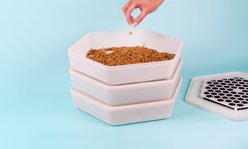 The Bug Factory Mealworm Growing Pod Reptile Feeder, White & Green slide 1 of 9