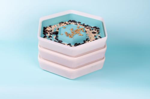 Show full view: The Bug Factory Mealworm Growing Pod Reptile Feeder, White & Green slide 6 of 10