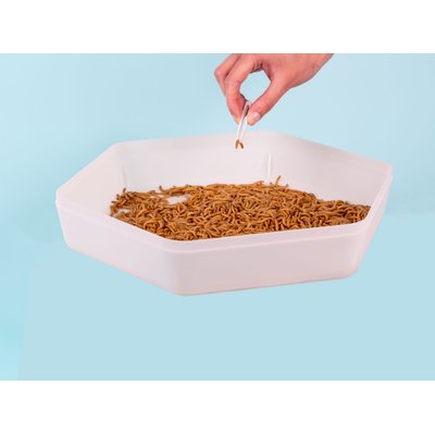 The Bug Factory The Bug Factory Mealworm Storage Pod Reptile Feeder, White