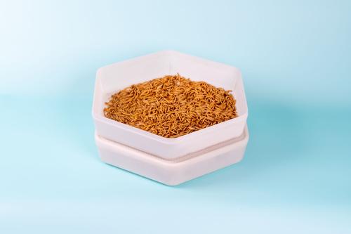 Show full view: The Bug Factory Mealworm Storage Pod Reptile Feeder, White slide 4 of 5